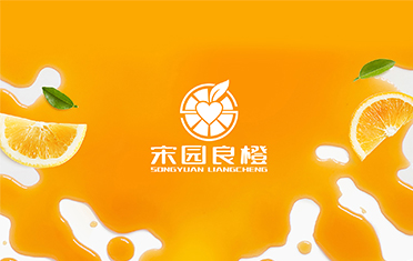 某良橙——汉中LOGO设计